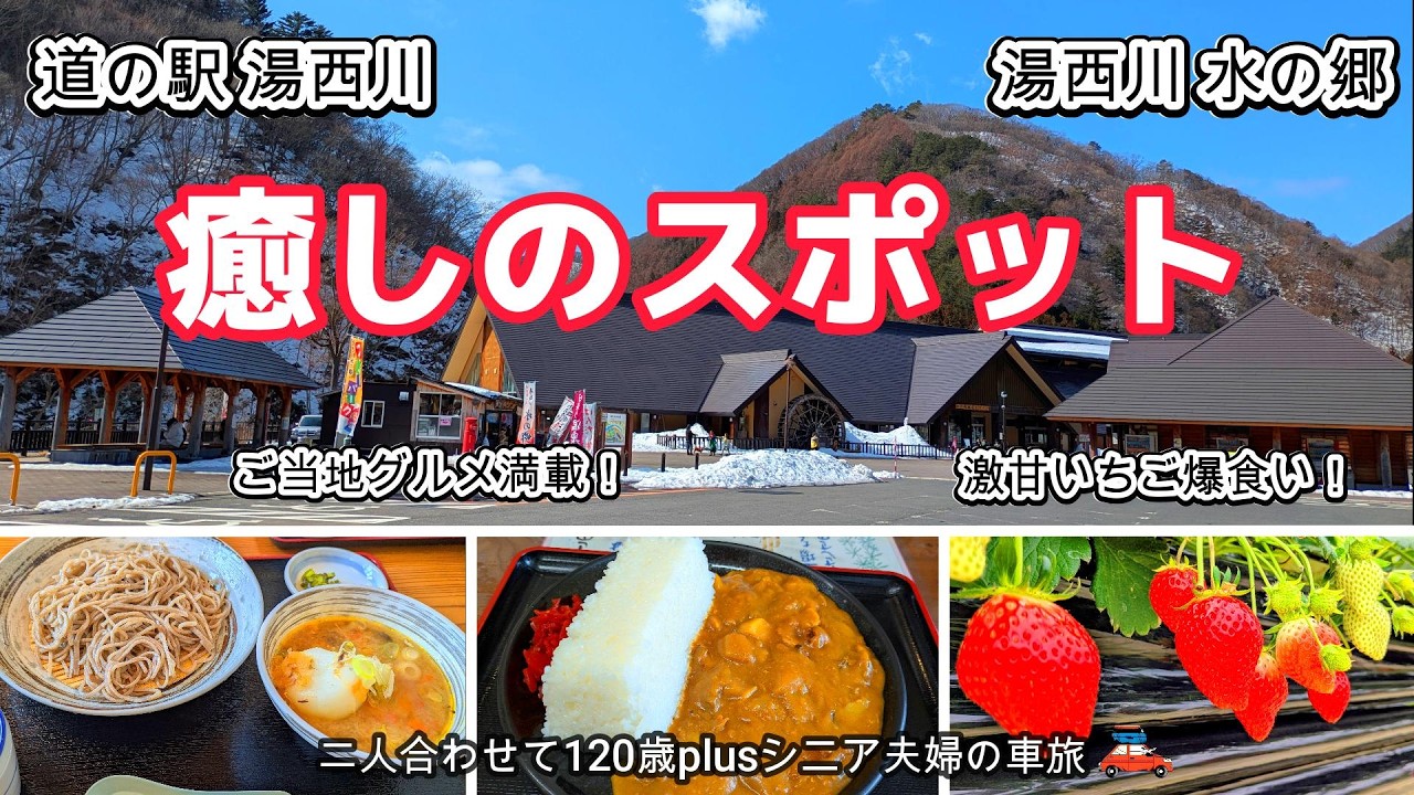 【栃木日光 湯西川 】 源泉かけ流しの温泉施設がある道の駅 🍓激甘いちご爆食い！