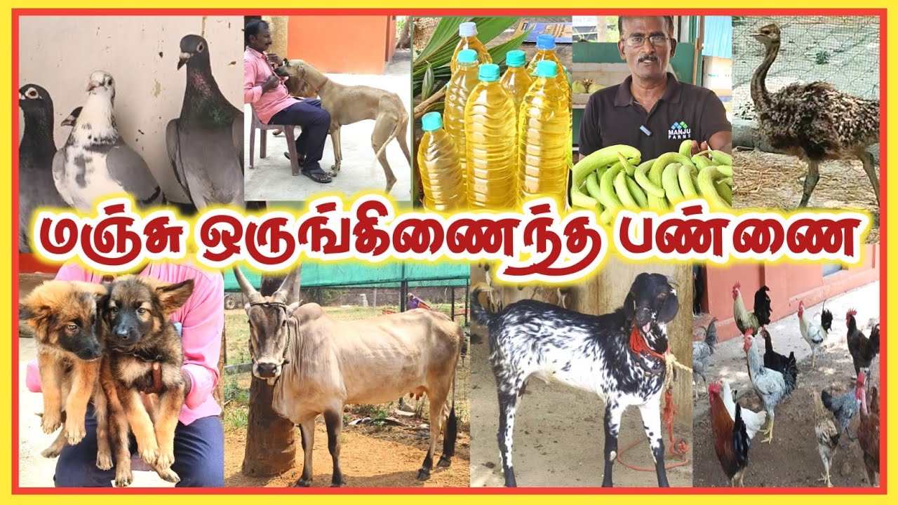 100% தரமான ஒருங்கிணைந்த பண்ணை / அனைத்தும் ஒரே இடத்தில்