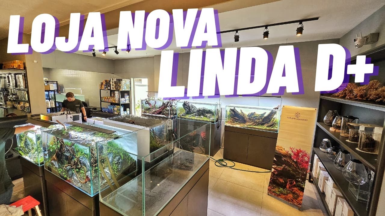 VISITEI UMA LOJA ANTES DE INAUGURAR AQUA GARTNER DESING