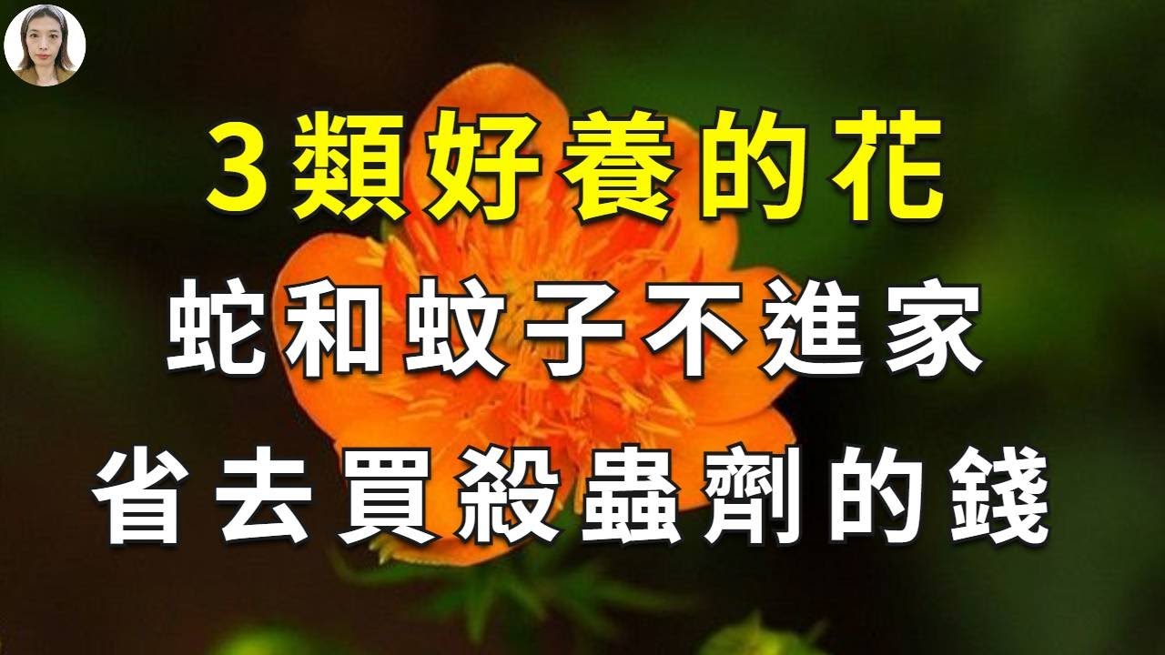 蚊子和蟲子最害怕3類花，家裡放幾盆，免去蚊蟲的困擾，特別是其中2種普遍的花，還能防止蛇進入家裡|花花世界