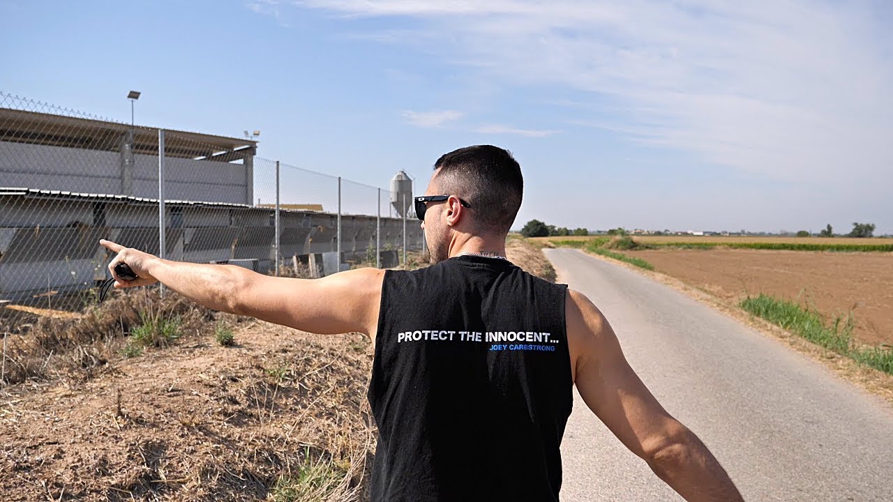 A Journey To The Biggest Slaughterhouse in Europe | Pt1