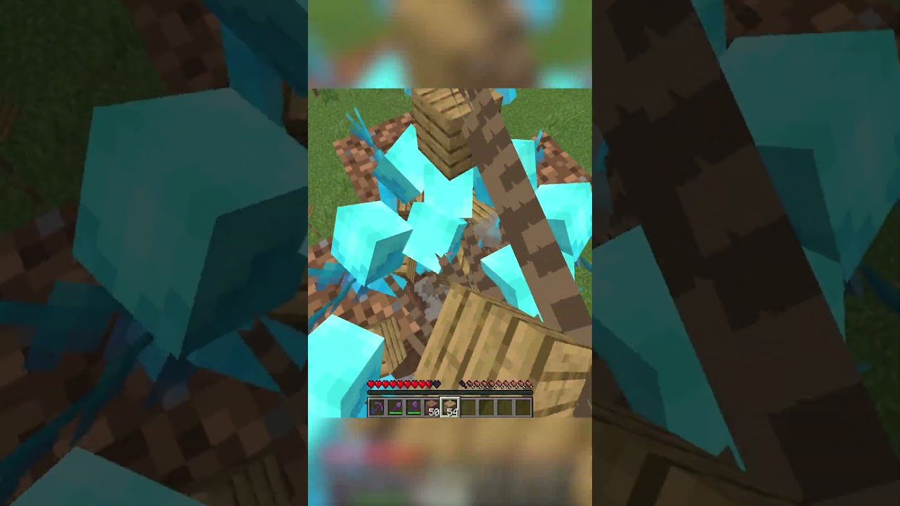 używanie TYSIĘCY SILVERFISHY do XRAYA