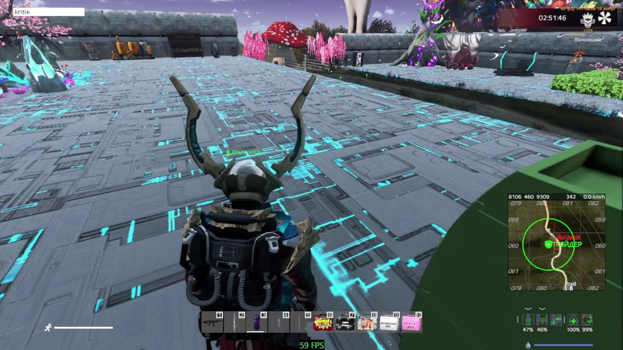 WASABI PVE 18+ приход 2