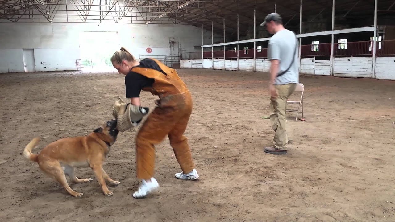 Courtney Carter Decoy Training K9 Defense Academy