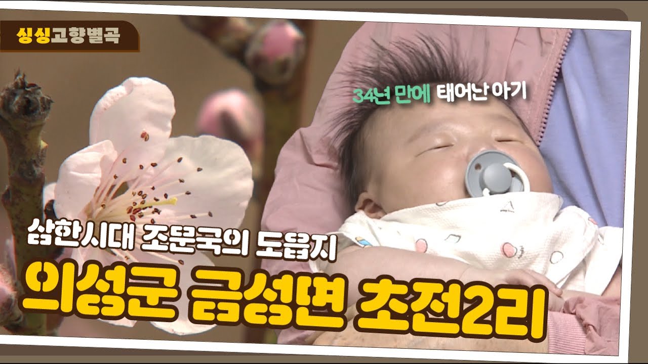 피땀눈물 인생을 담은 집ㅣ4대 가족의 위대한 탄생ㅣ의성군 금성면 초전2리 [싱싱 고향별곡]