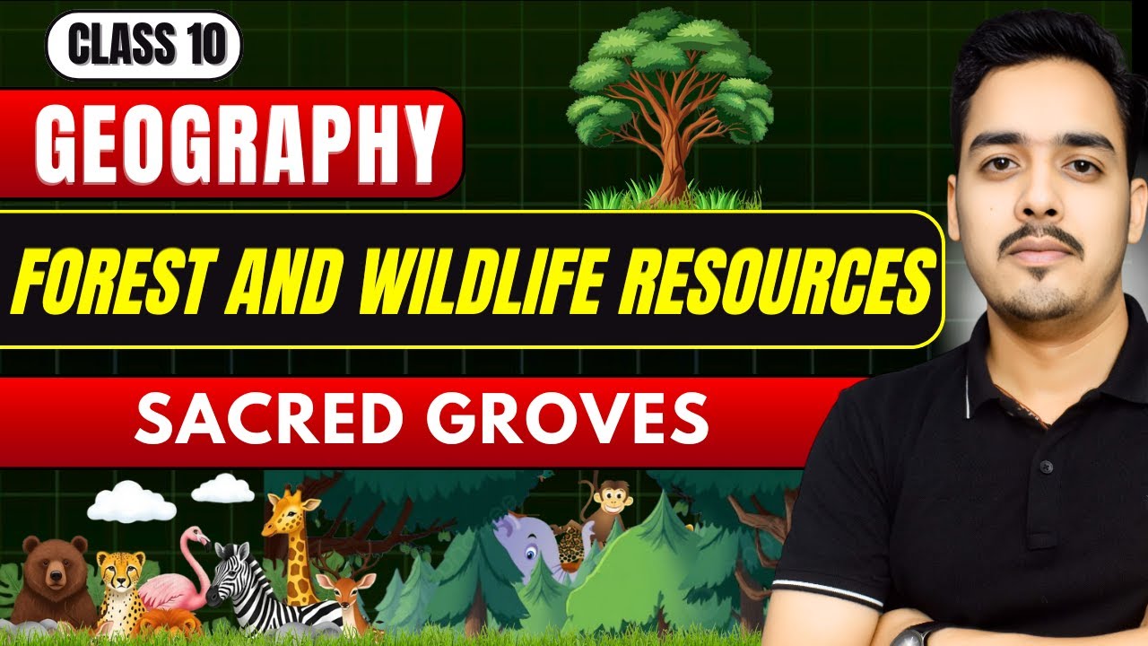 Sacred Groves | Forest and Wildlife Resources | Class 10 Geography