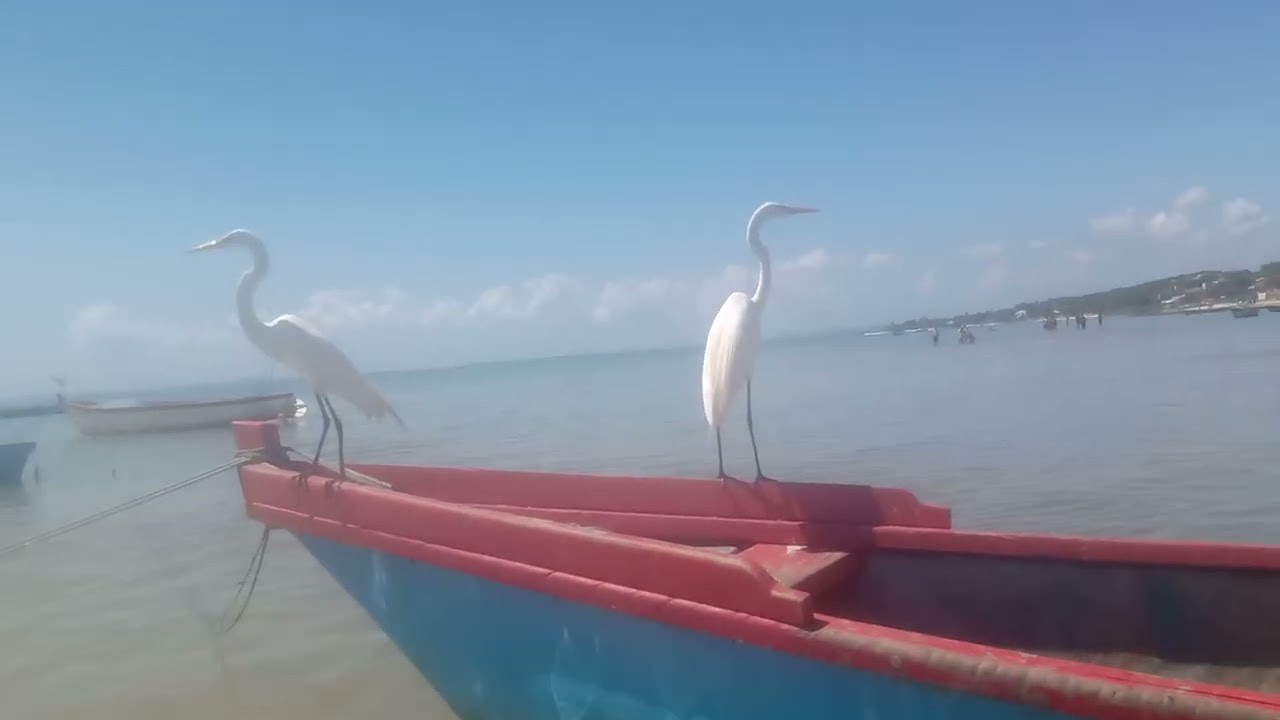 Nosso sábado na praia das Garças  Saubara Bahia 2026