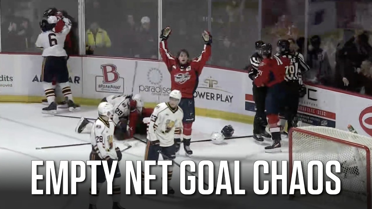 Chaos Ensues As Tempers Flare Between Windsor And Barrie After Liam Greentree's Empty-Net Goal