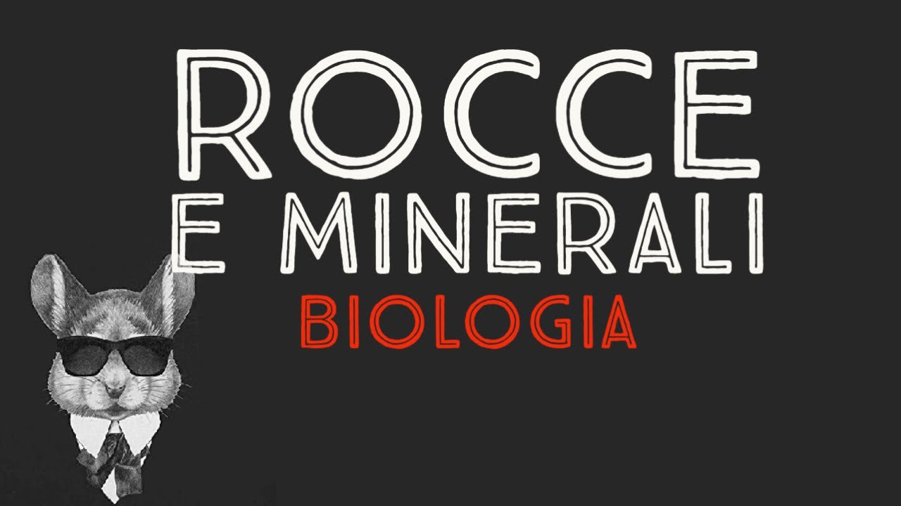 ROCCE E MINERALI - BIOLOGIA