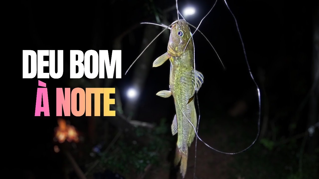 Começou fraca… mas a noite trouxe os peixes bons