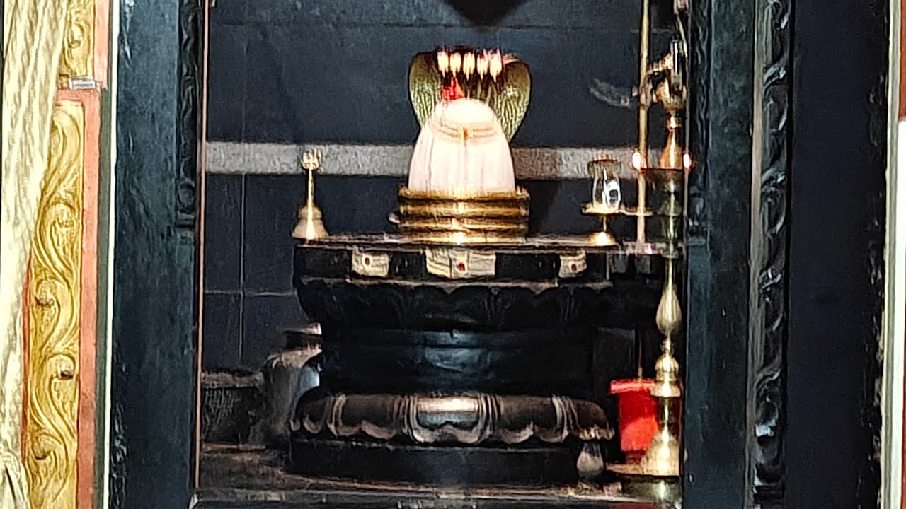 మన సనాతనం  is live 26/2/26