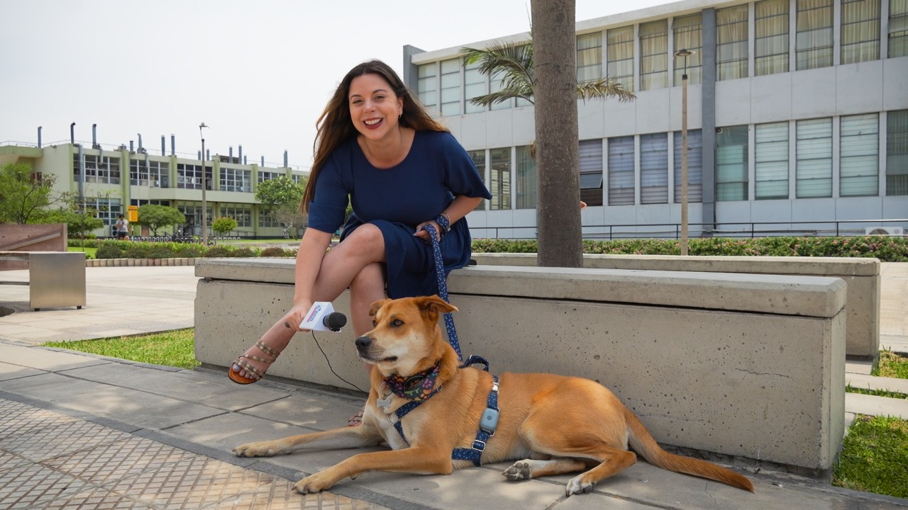 #VidaUniversitaria | Un chip que localiza a tus mascotas