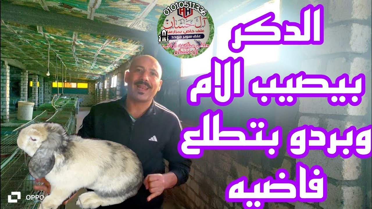 الدكر بيصيب الارنبه و بتطلع فاضيه دا ايه سببه.