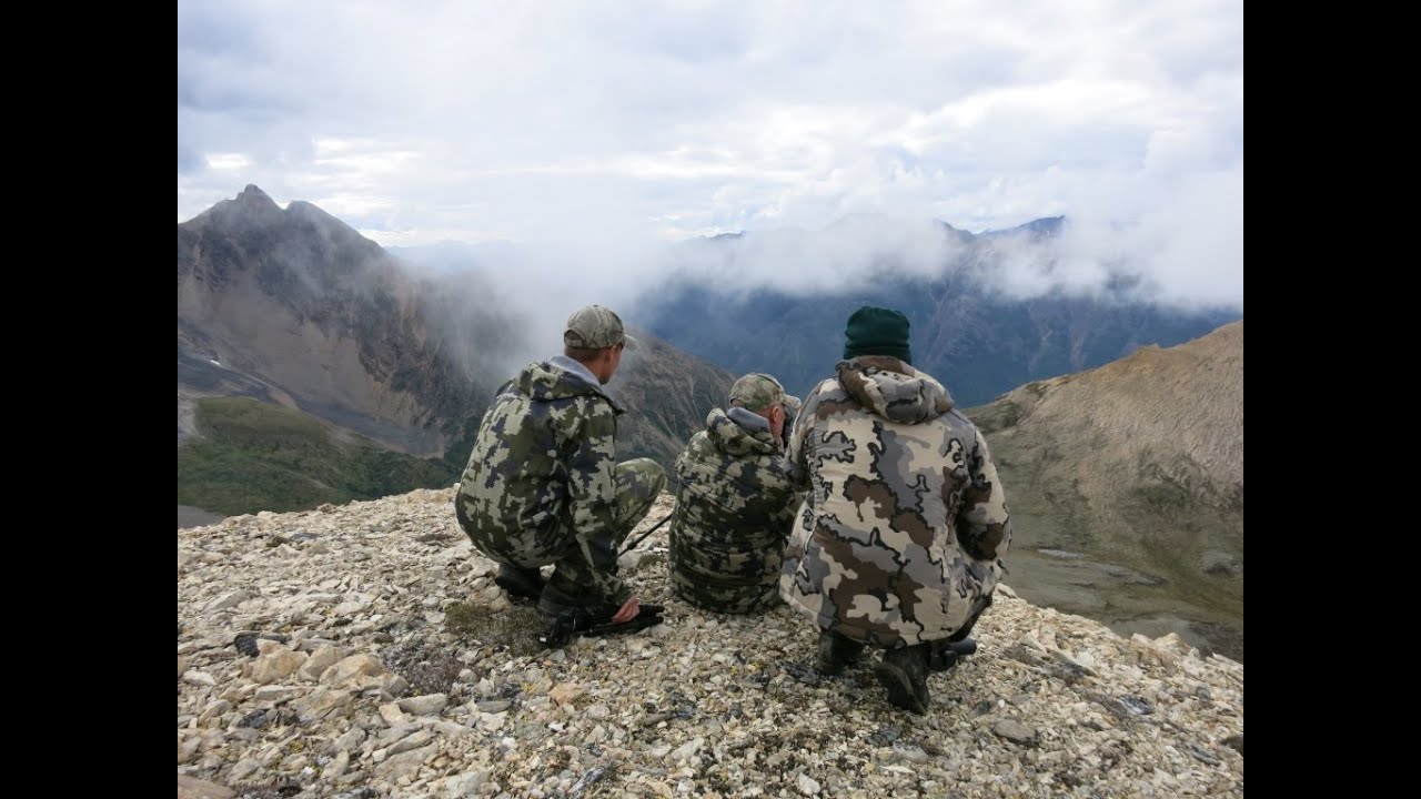 Hunting the Cassiar mountains - part 1/2 (stone sheep)