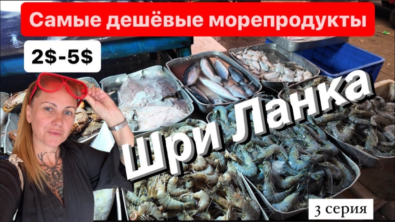 #3 Самые дешёвые морепродукты в Шри Ланке.Хиккадува место для зимовки #шриланка #хиккадува #travel
