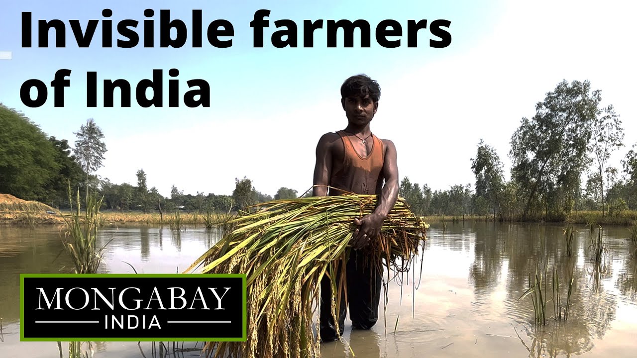 No compensation for landless farmers losing crops