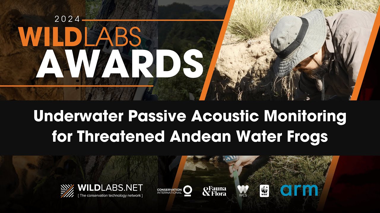 Underwater Passive Acoustic Monitoring (UPAM) for Threatened Andean Water Frogs