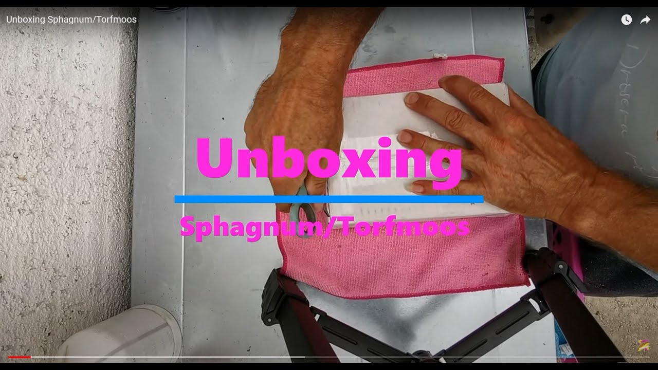 Unboxing Sphagnum/Torfmoos