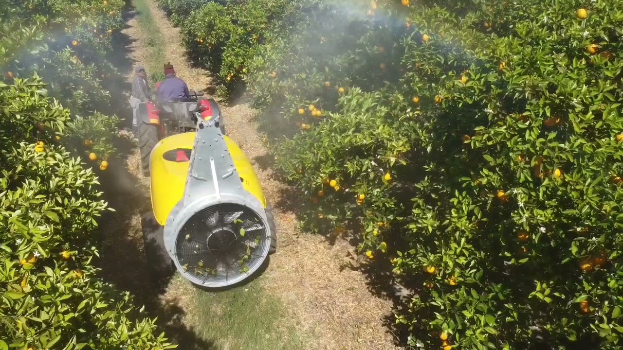 Amifer S.A Uruguay , Traktor Hattat y Atomizadora  DSM Frutteto 2000.