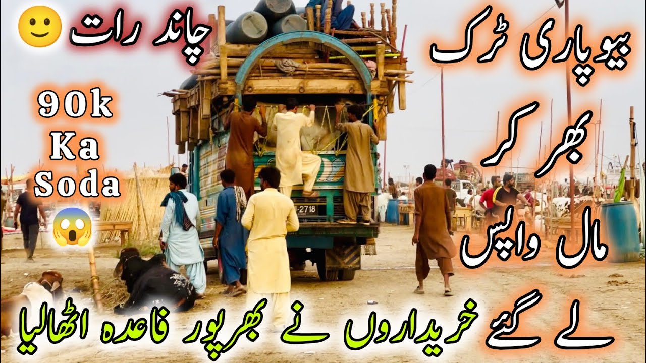 Northern Bypass Mandi Latest Rates & Bargaining |6 June 2025 | Last Day Season 2025 | Bakra Eid 2025