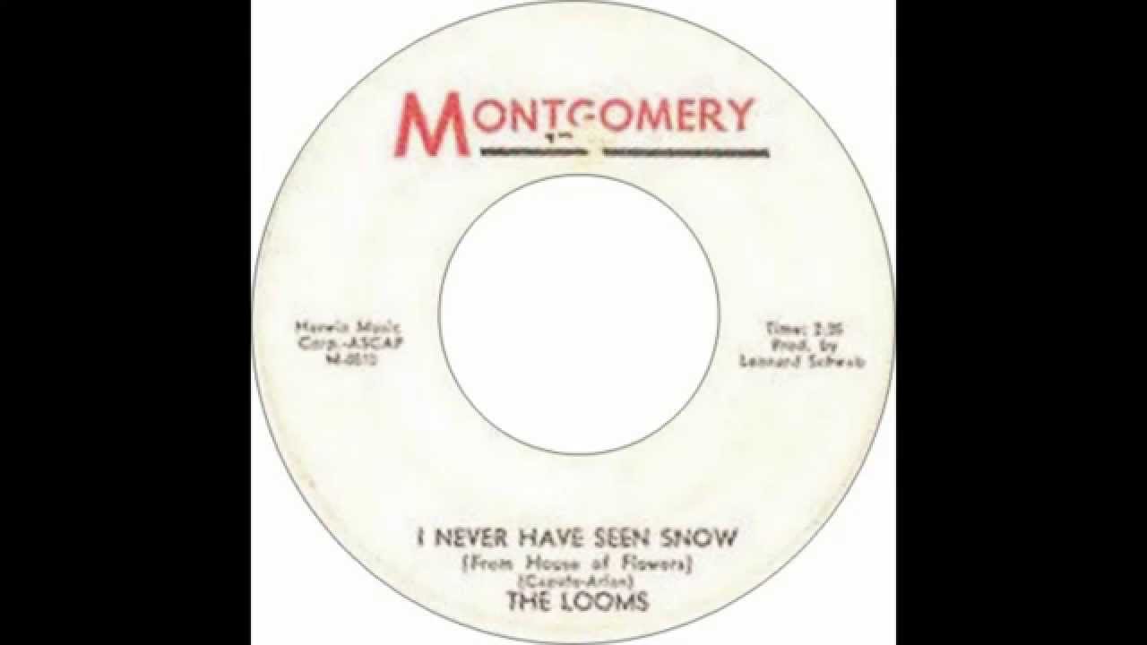 Τhe Looms - I Have Never Seen Snow
