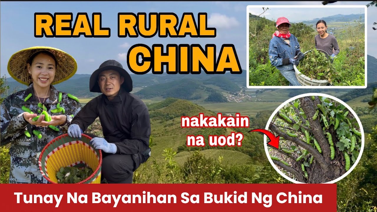 REAL LIFE IN THE MOUNTAINS OF RURAL CHINA | Harvested HUGE Edible Silkworms With Chinese Villagers