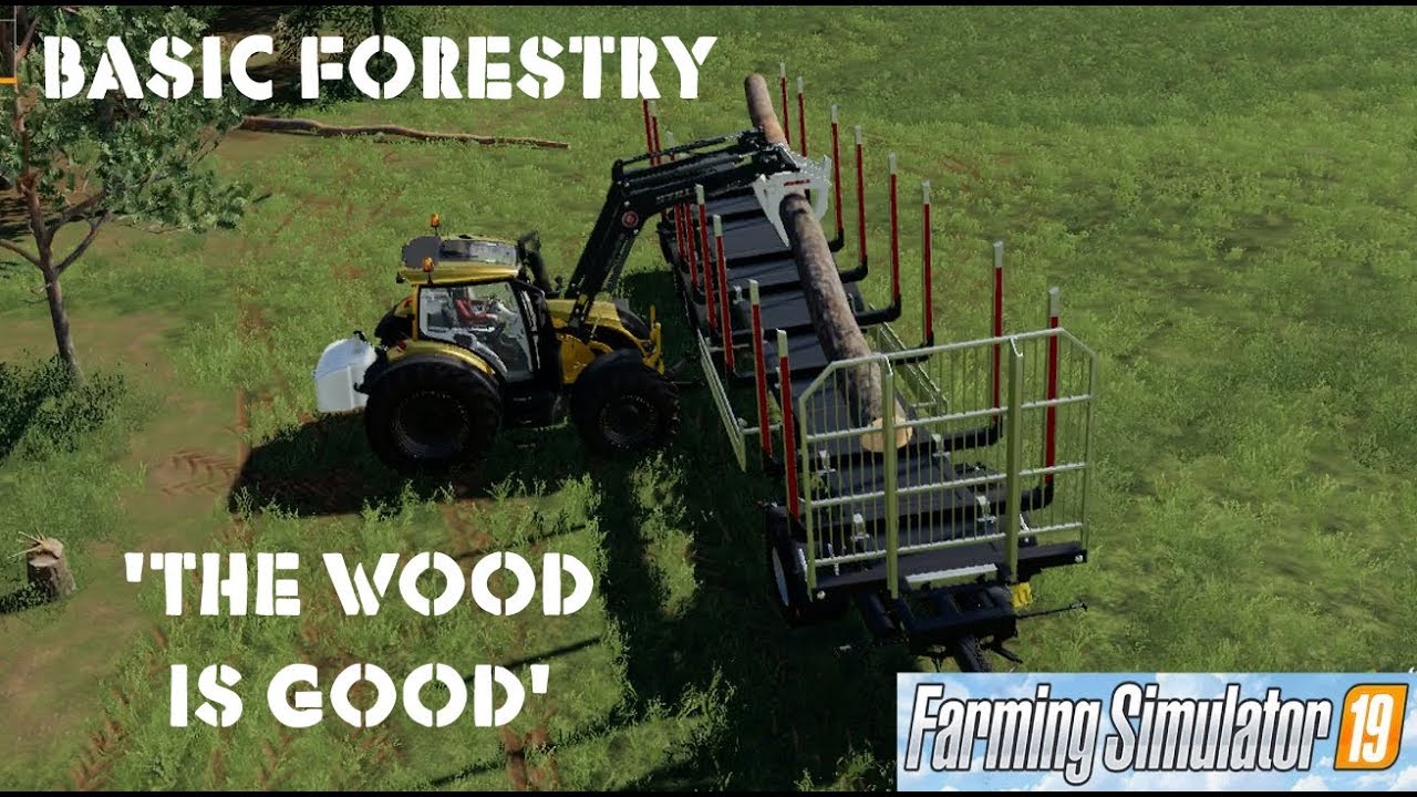Farming Simulator 2019 XBOX Basic Forestry: The Wood is Good