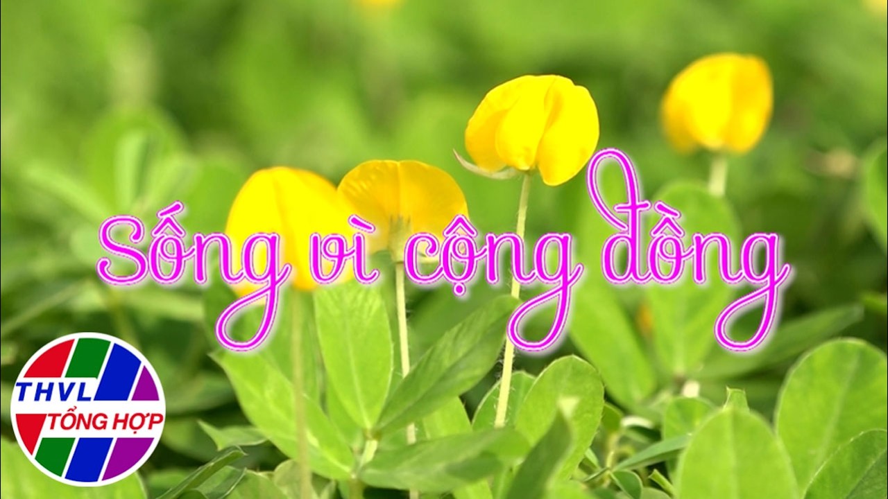 Hoa đẹp giữa đời thường: Sống vì cộng đồng