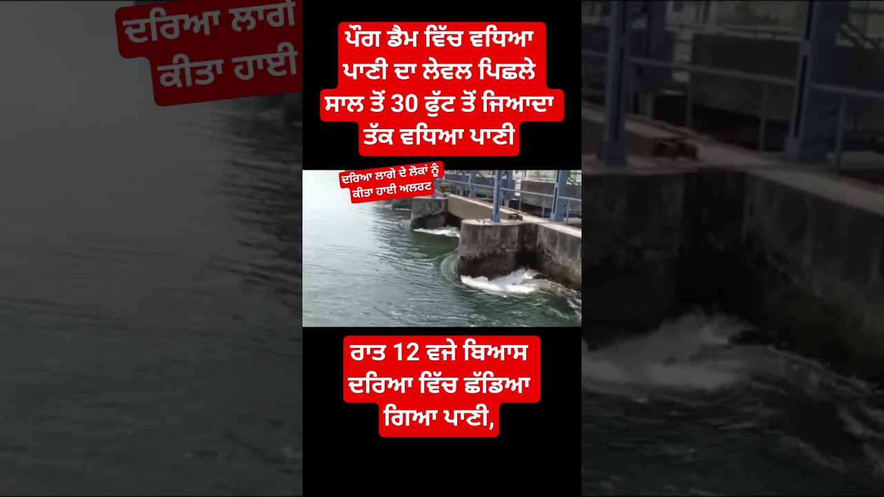 flood in Punjab ? #flood #punjab #shortsfeed