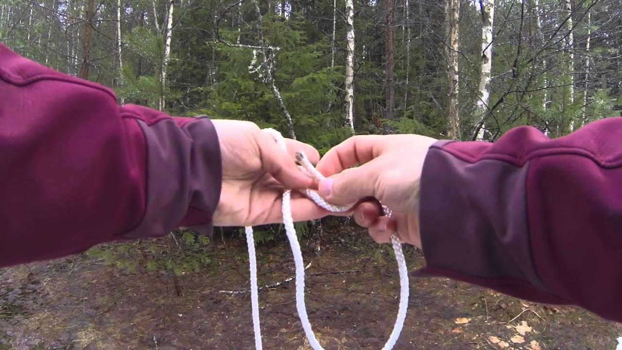 Paalusolmu