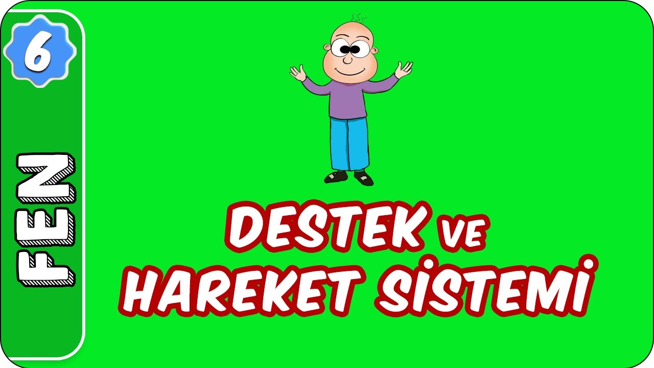 Destek ve Hareket Sistemi |  6. Sınıf Fen evokul Kampı
