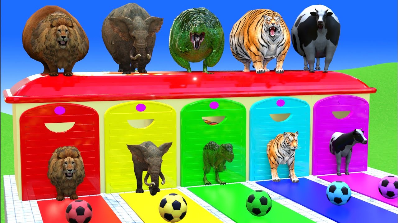Long Slide Game With  Cow Elephant Gorilla Hippopotamus Tiger 3d Animal Game Funny 3d Animals