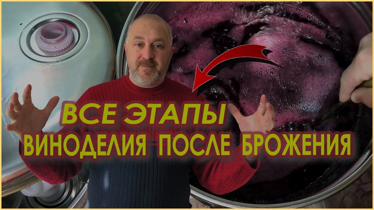 Все что нужно сделать с вином после брожения