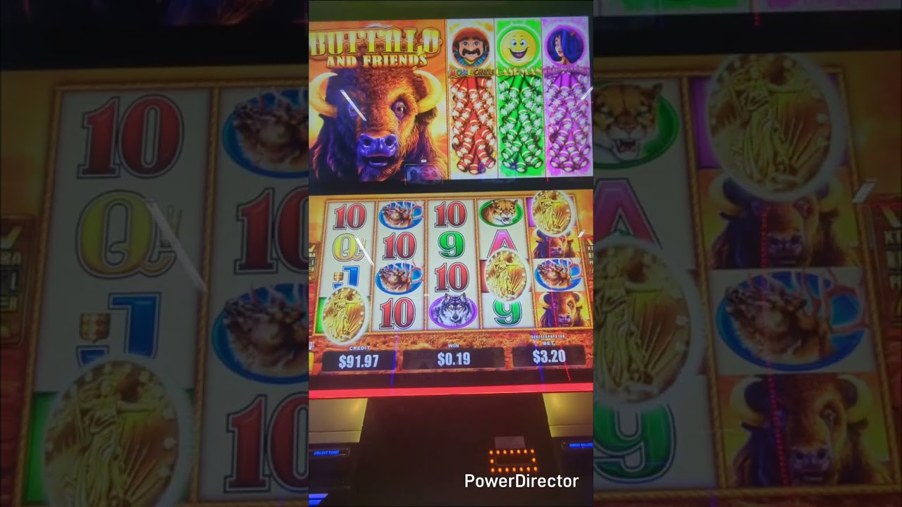 All Buffalo Bonuses #buffalogoldcollection #buffalogoldrevolution #buffaloascension 