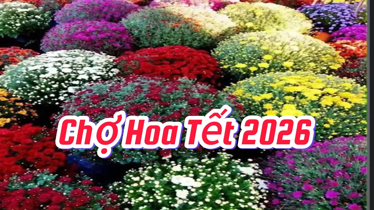 CHỢ HOA TẾT  CẦN THƠ  ĐƯỜNG HOÀNG VĂN THỤ TỐI 20 TẾT ĐÔNG VUI 
