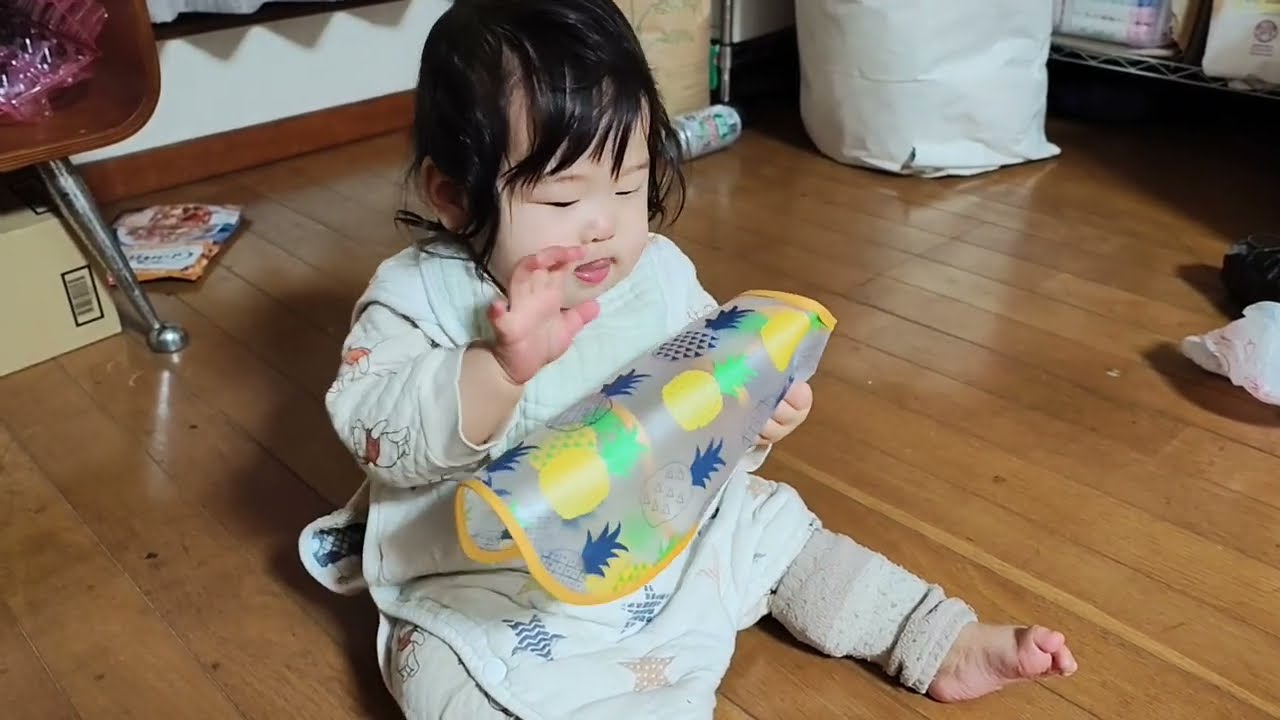 2026/01/27パインばっかり食べるから使ってない