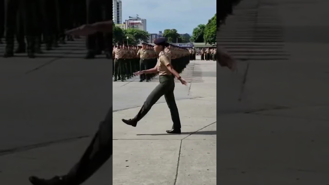 Entrada  dos Cadetes  na Academia  Militar das Agulhas Negras (3)