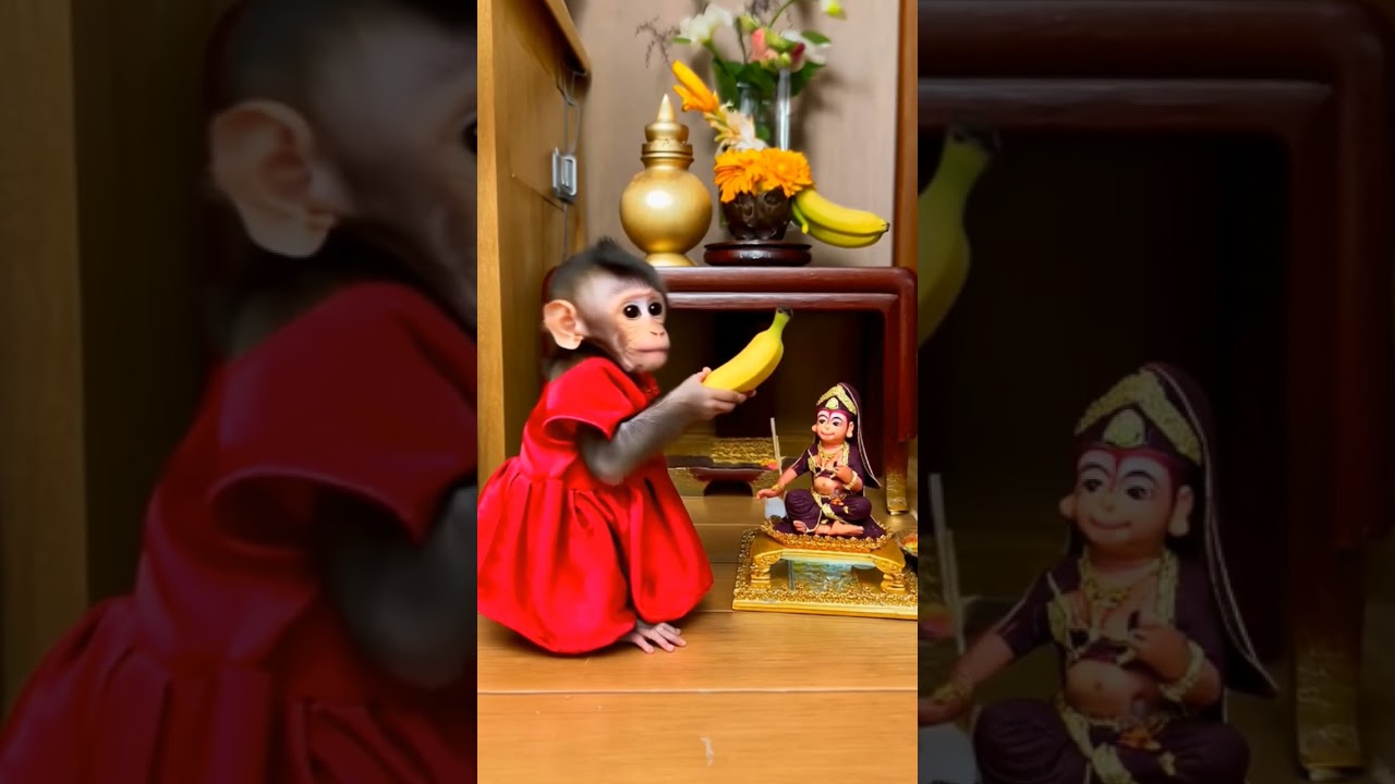 Bandar Mandir Mein Banana Chadha Raha Hai &ndash; Kids Bhakti Cartoon
