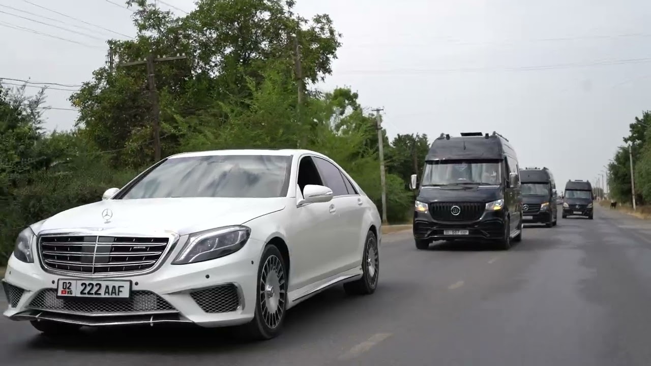 закс 18,08,2024