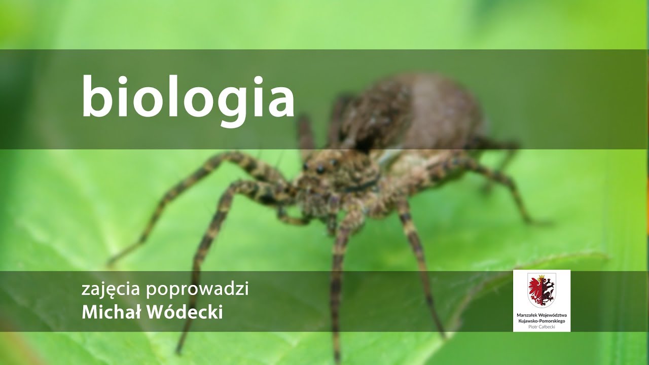 Biologia. Fotografujemy przyrodę. Zajęcia z fotografii przyrodniczej