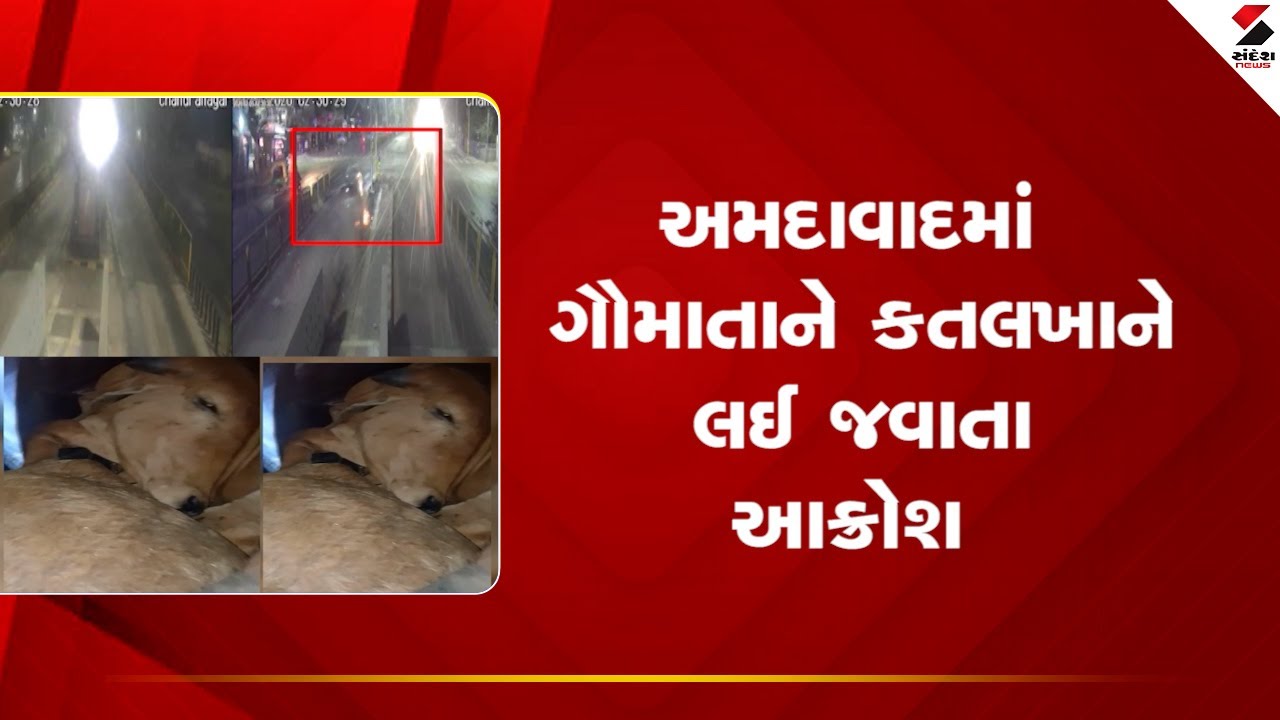 Ahmedabad | અમદાવાદમાં ગૌમાતાને કતલખાને લઈ જવાતા આક્રોશ | Protest | Gujarat