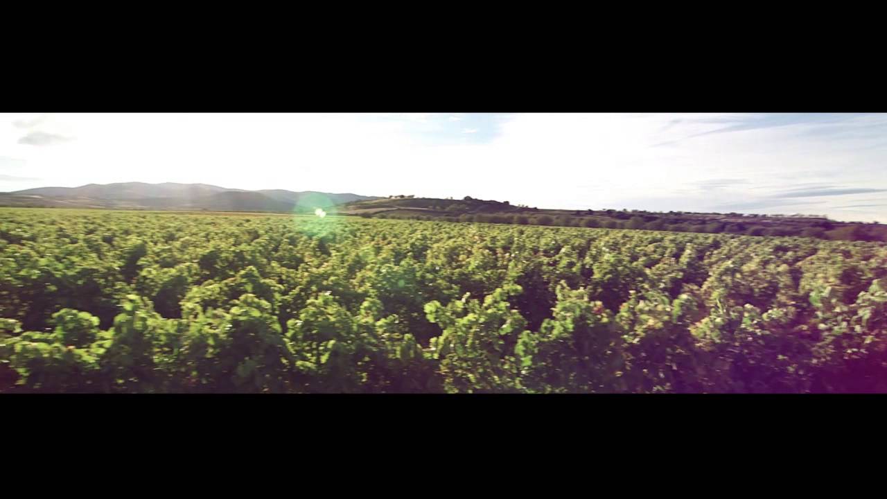 La Rioja Alta, S.A, Group - Corporate video (Long form)