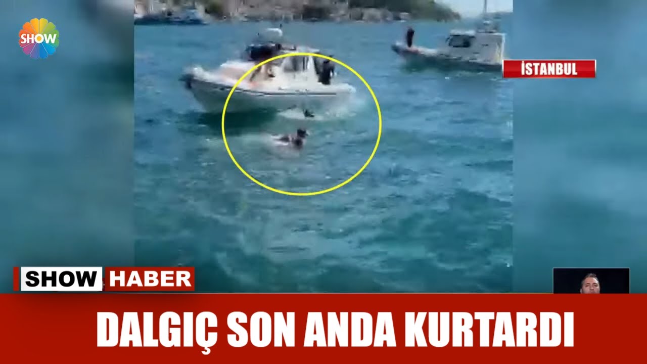 Dalgıç son anda kurtardı