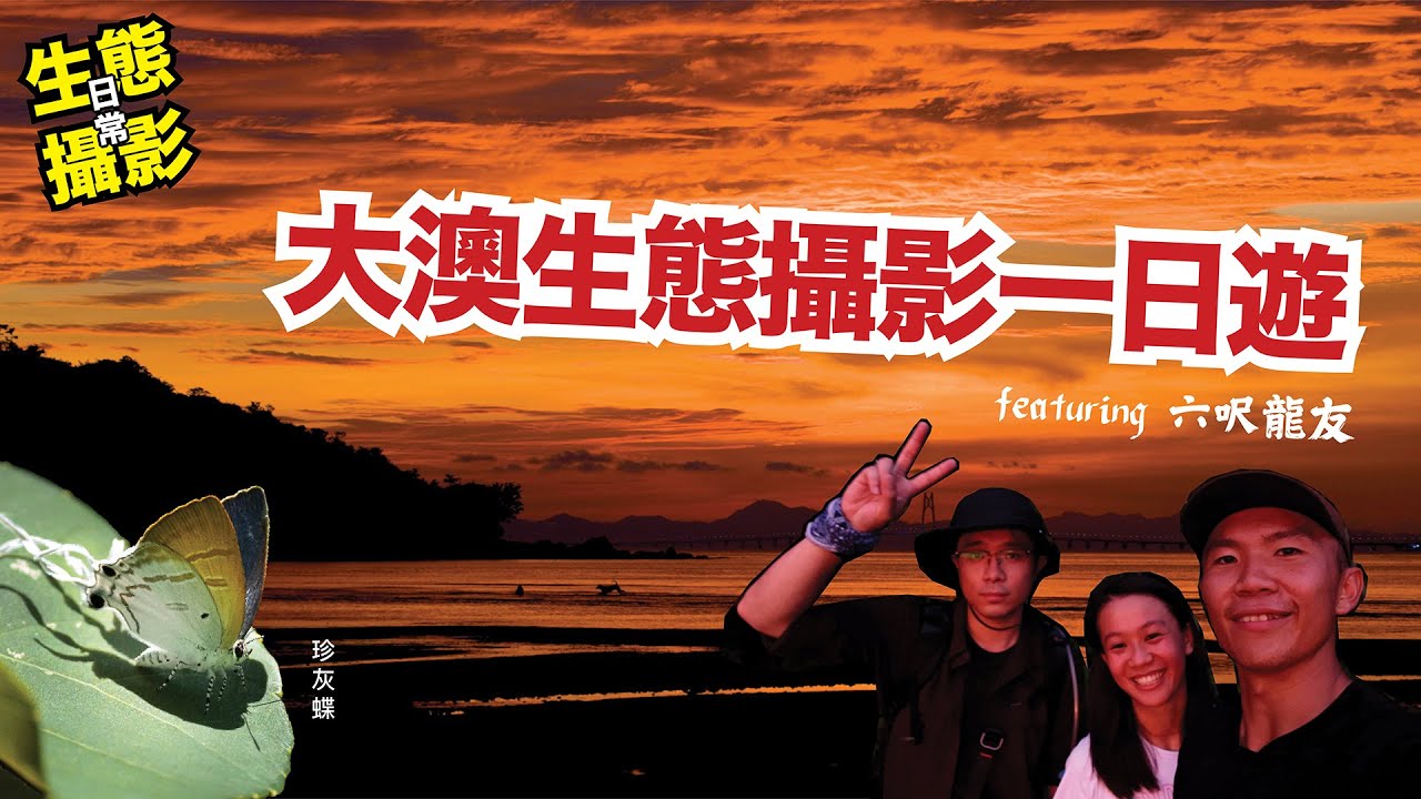 大澳生態攝影一日遊 feat. @sixfeetdragonfriend ｜生態情人Wildlife Lovers