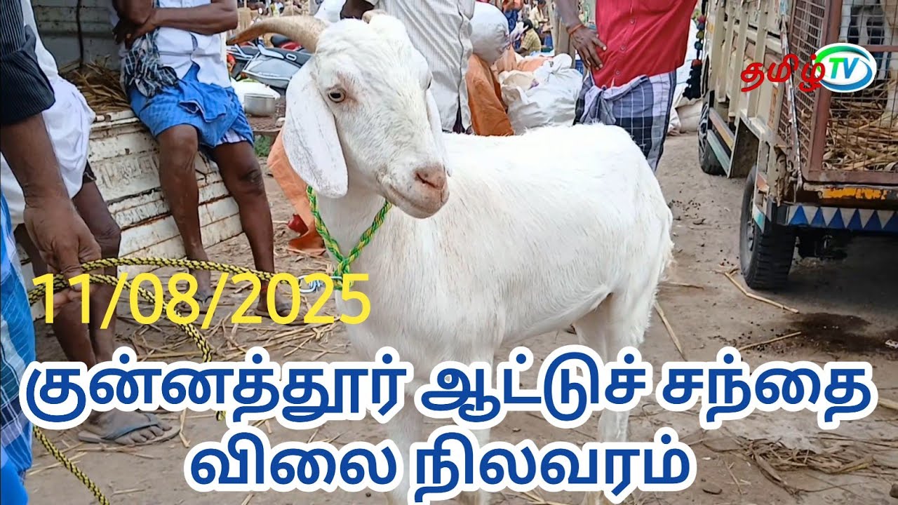 குன்னத்தூர் ஆட்டுச்சந்தை விலை நிலவரம் #அந்தியூர் தேர் திருவிழாவை முன்னிட்டு விற்பனை சுமார் #tamiltv