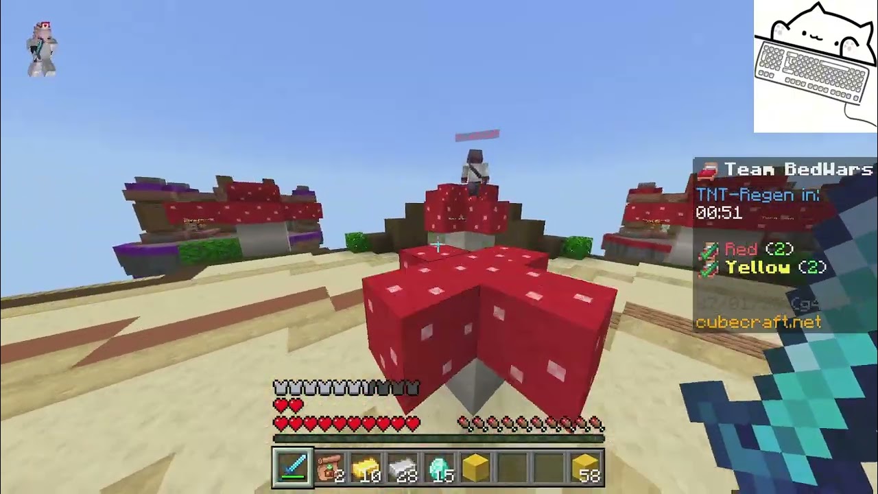 Bedwars!!!