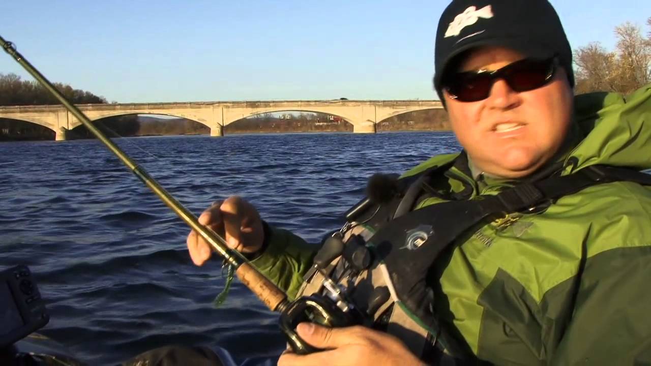 Confidence Baits