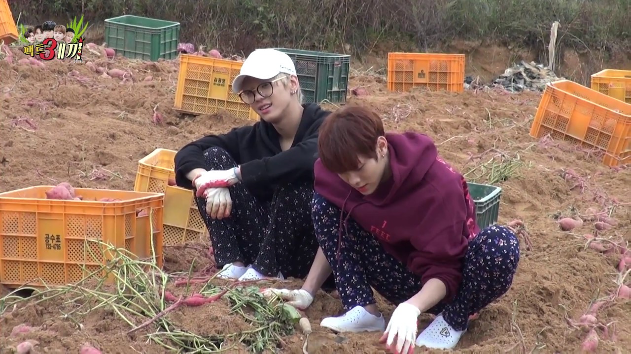 임팩트[IMFACT] I`M FACT 시즌2 팩트세끼 #4