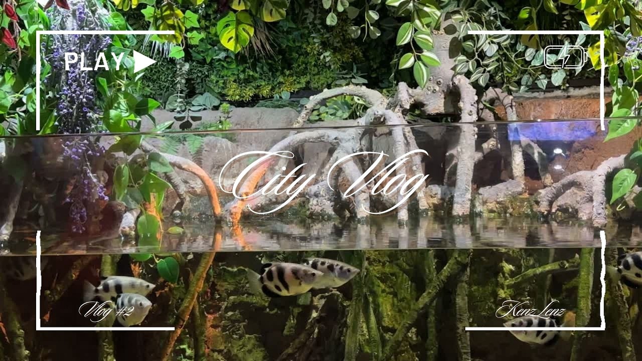 Aquarium Vlog!!