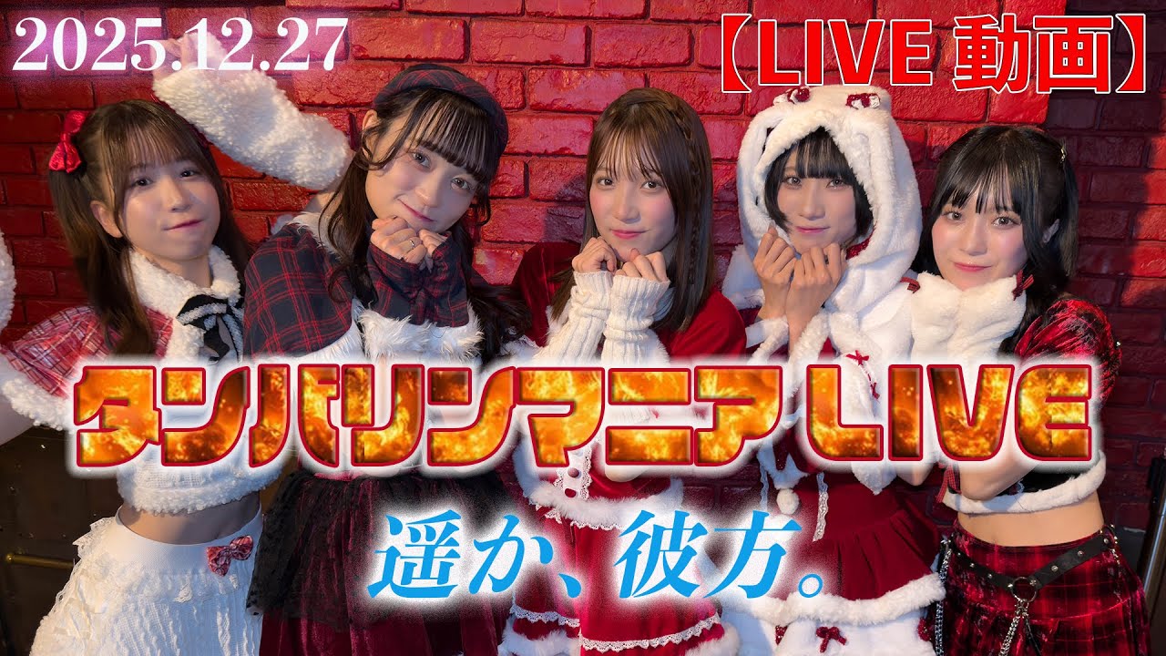 【LIVE】〈遥か､彼方。〉「タンバリンマニアLIVE」in下北沢シャングリラ《2025.12.27》  #ハルカナ  #ライブ　＃ラストクリスマス　＃５人の可愛いサンタ